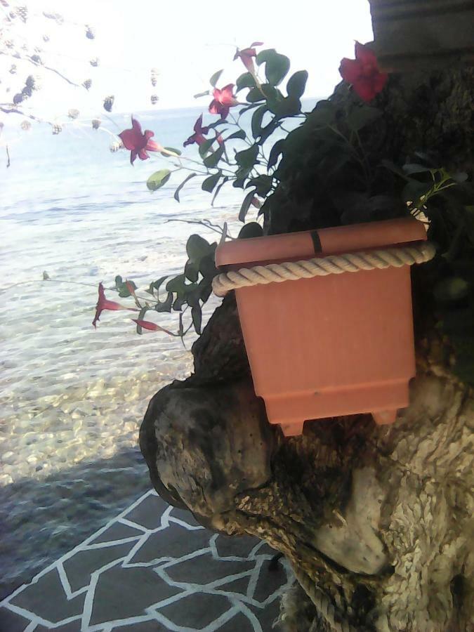 Agyrovoli Bungalow Skala Kallirachis Exterior foto